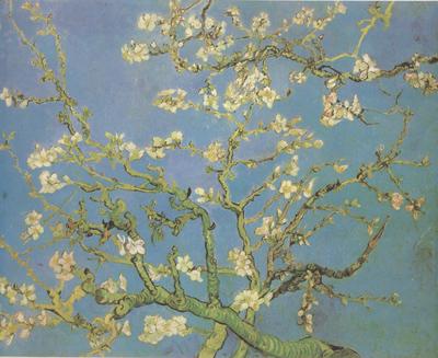 Vincent Van Gogh Blossoming Almond Tree (nn04) oil painting picture